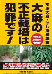2011Ns喃Eoŉ^|X^[