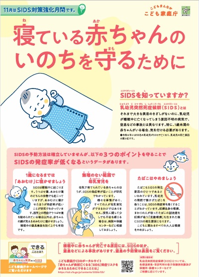 2025�NSIDS�΍􋭉����ԃ|�X�^�[