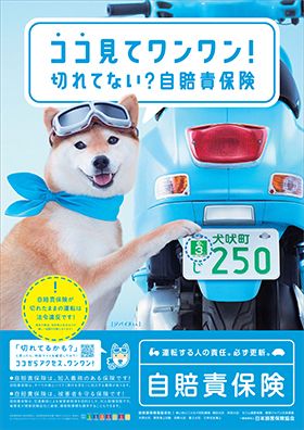 2017�N�����ӕی��L��L�����y�[���|�X�^�[