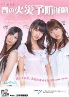 2011�N�t�̉΍З\�h�^���E���֕⏕�|�X�^�[